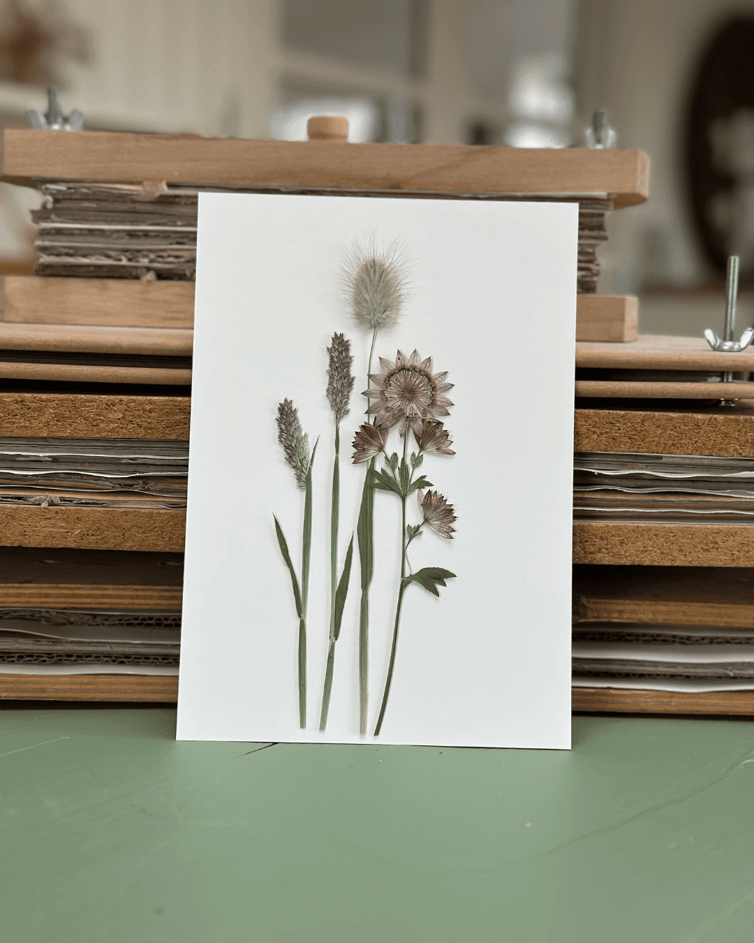 Botanisk illustration