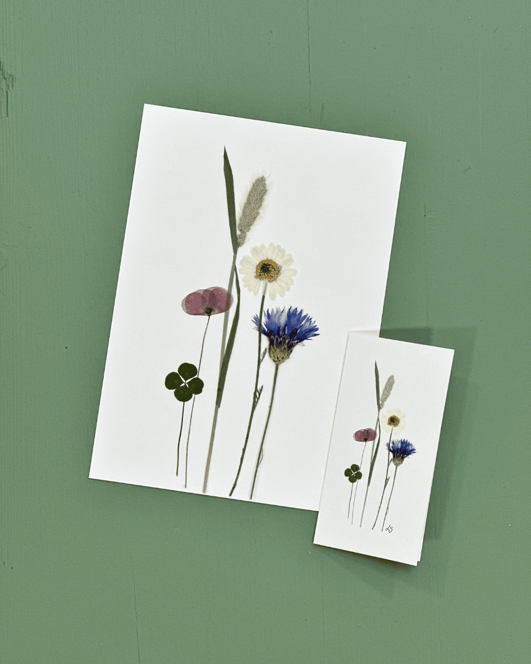 hvide kort med pressede blomster