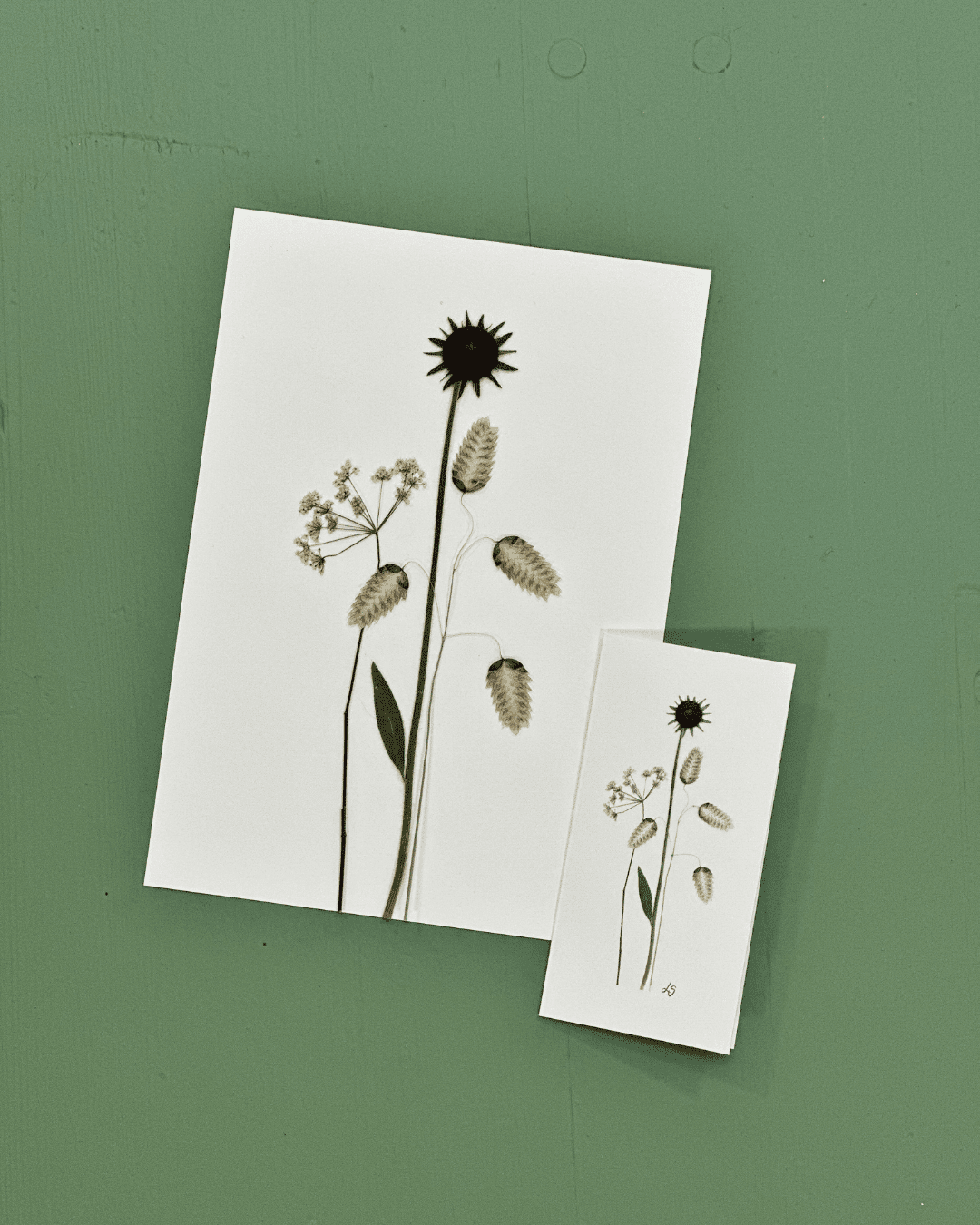 kort med tørrede blomster