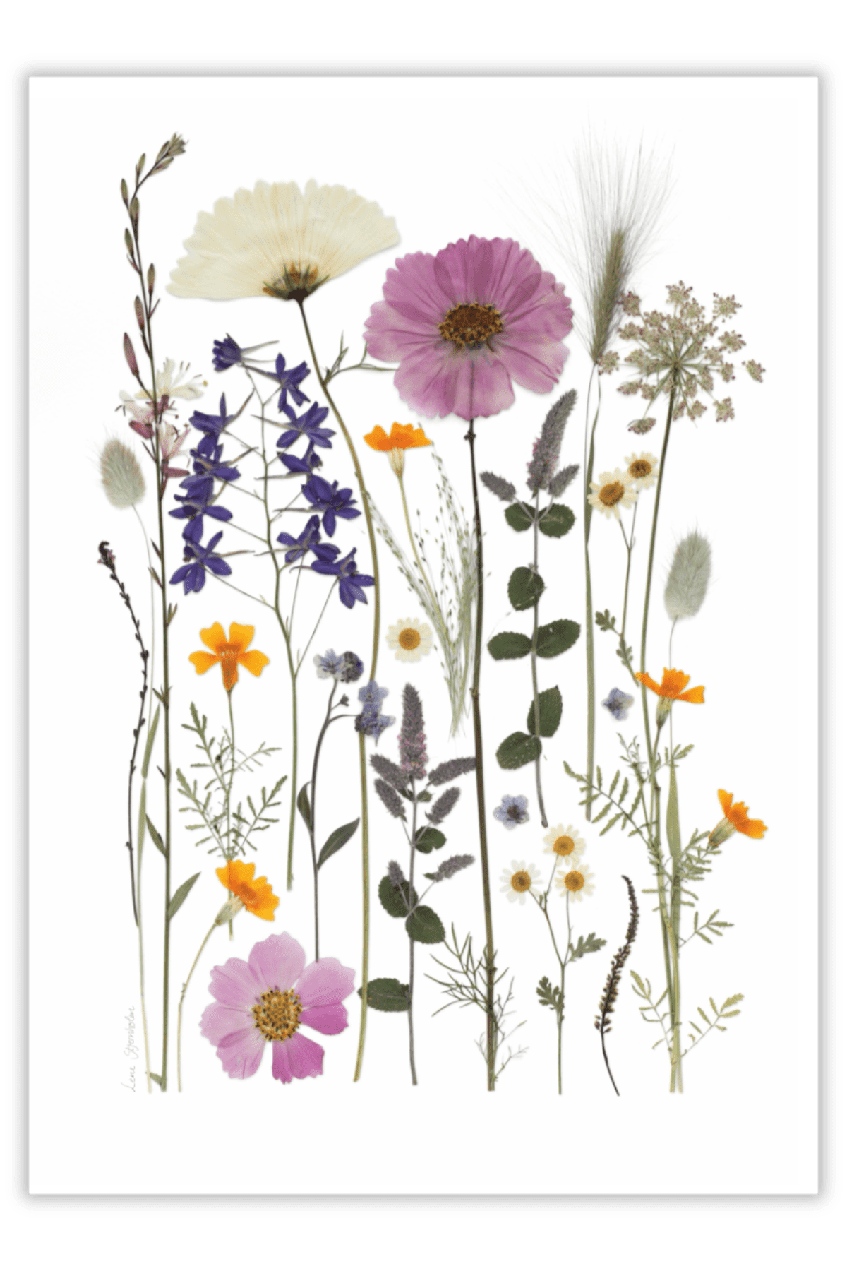 Brede Havekiosk Værket