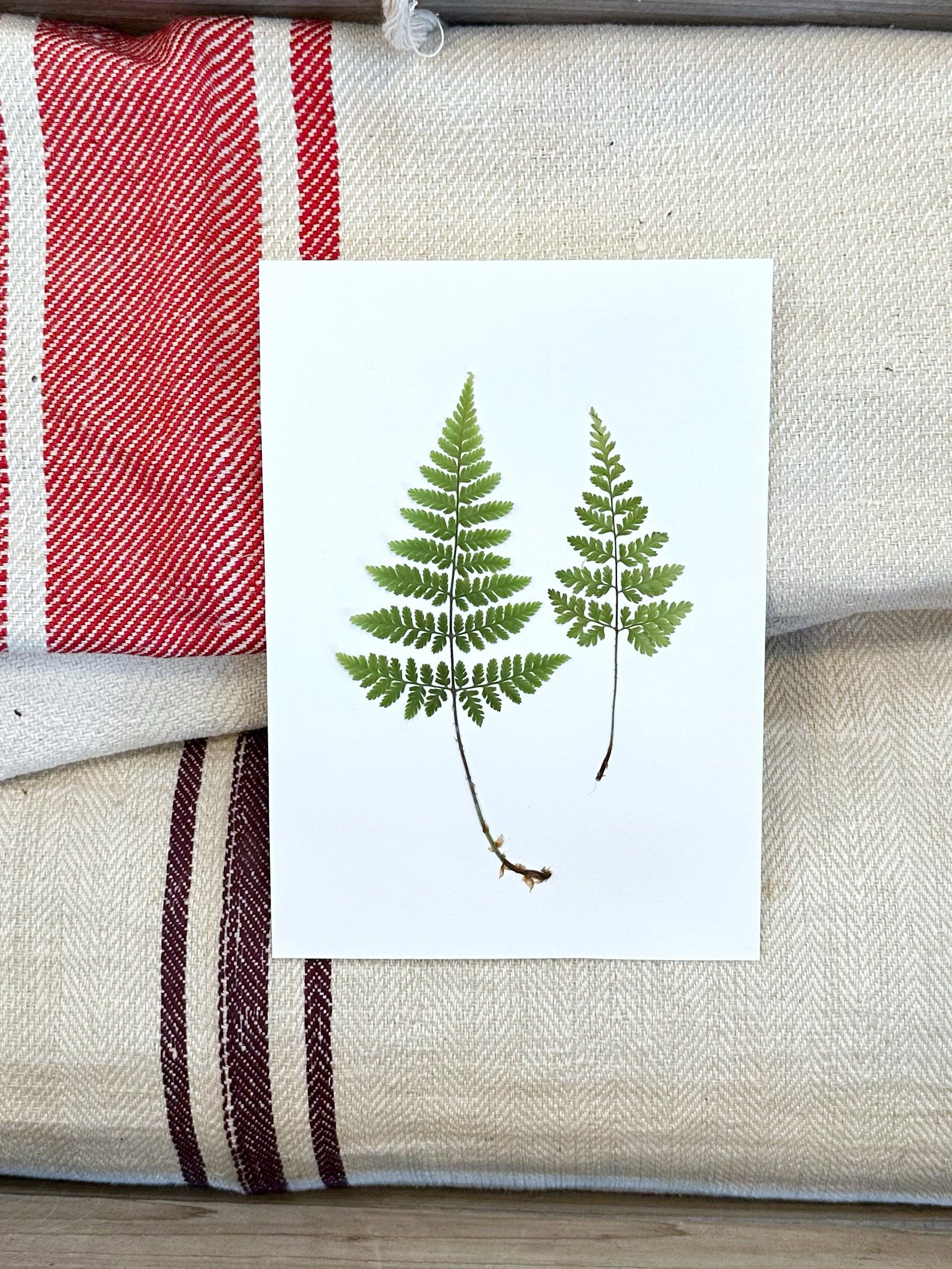 A6 Vinterkort - pakke med 5 stk. - Det enkle mix