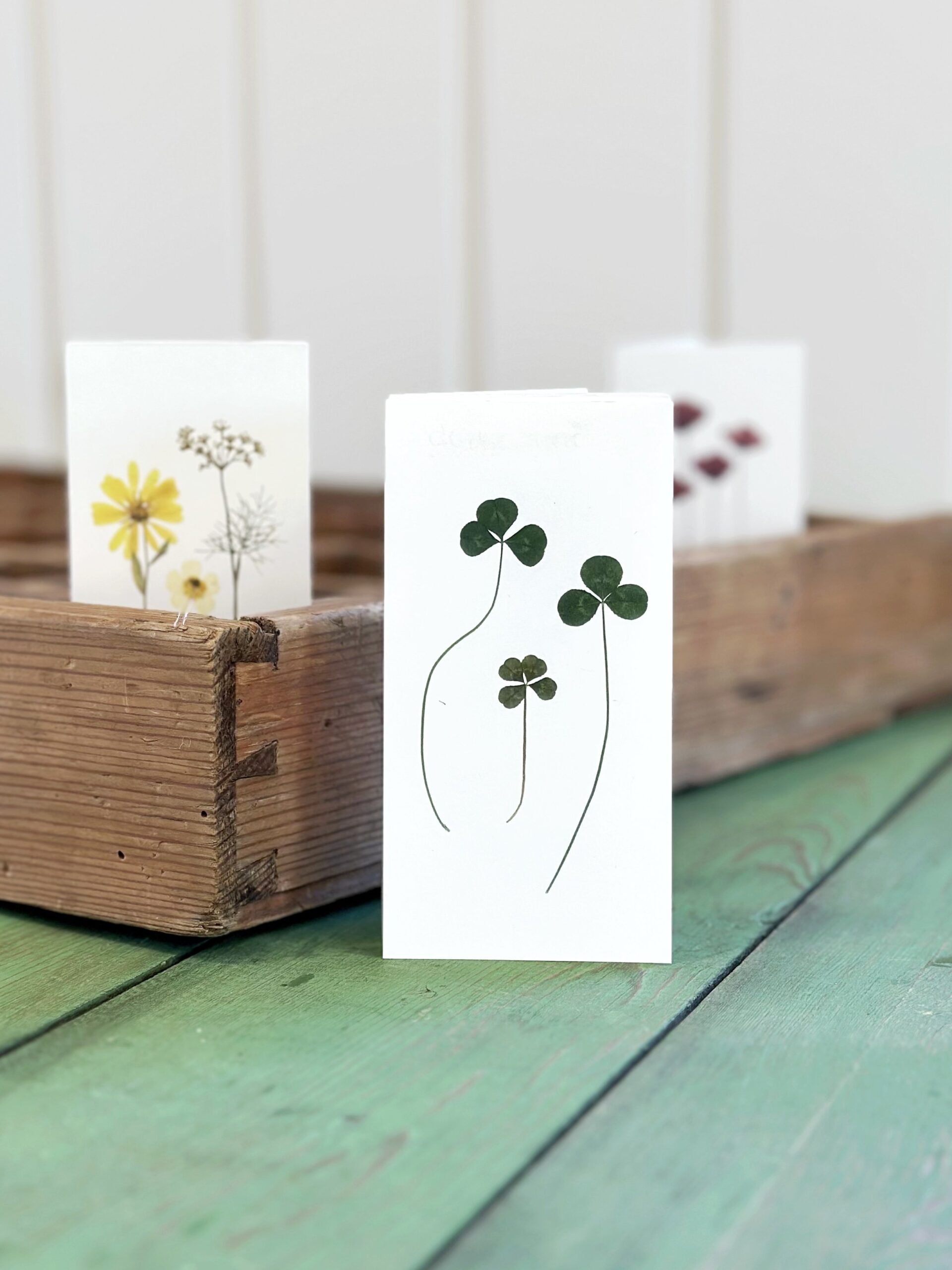 Dobbeltkort 6x12 cm - 8 stk - Grønt mix