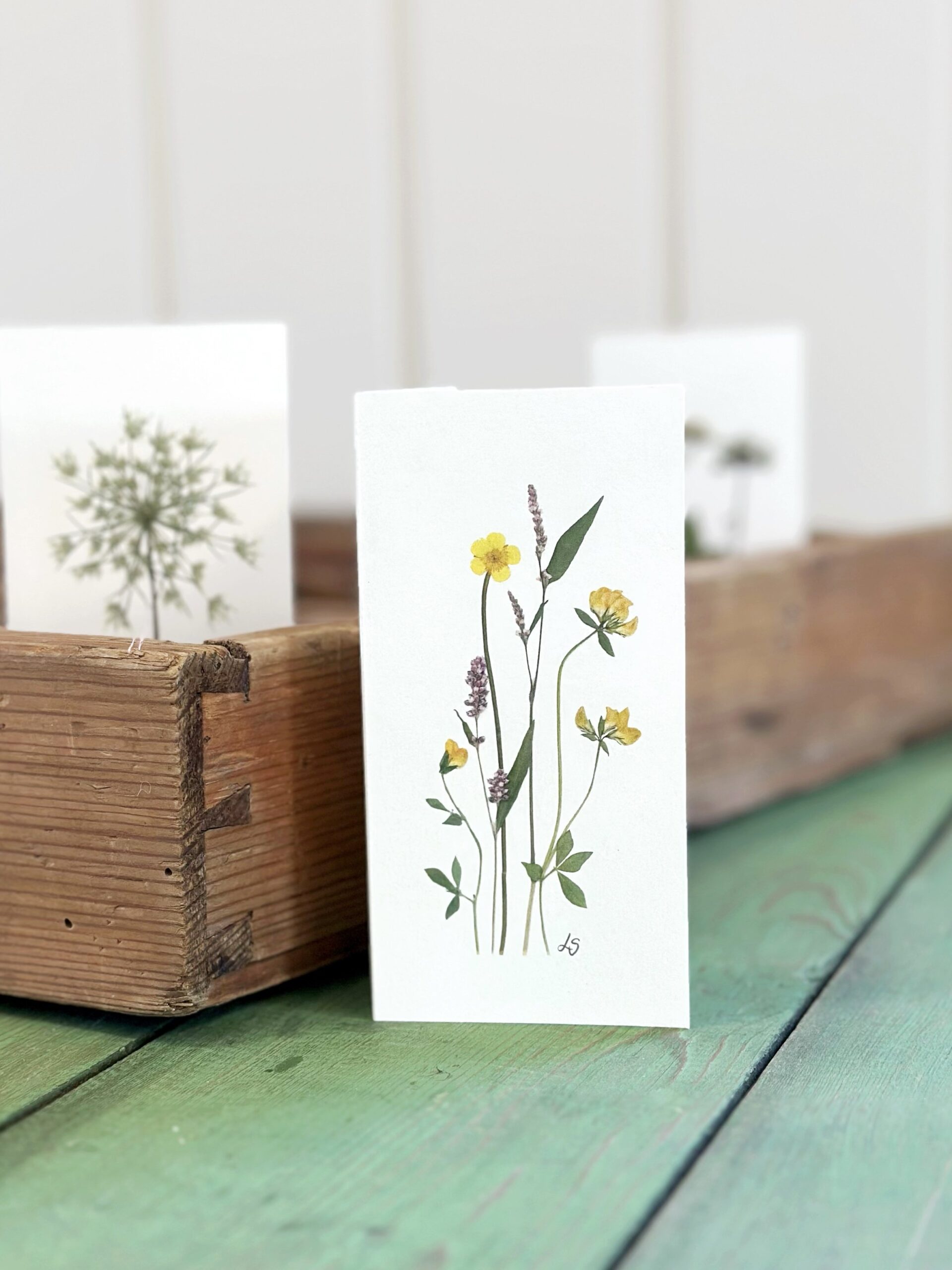 Dobbeltkort 6x12 cm - 12 stk - Nr 1