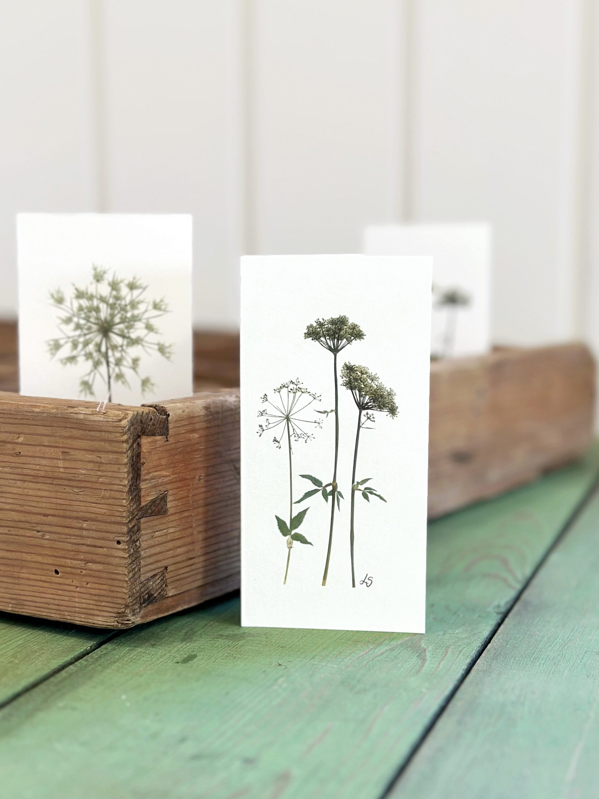 Dobbeltkort 6x12 cm - 8 stk - Grønt mix