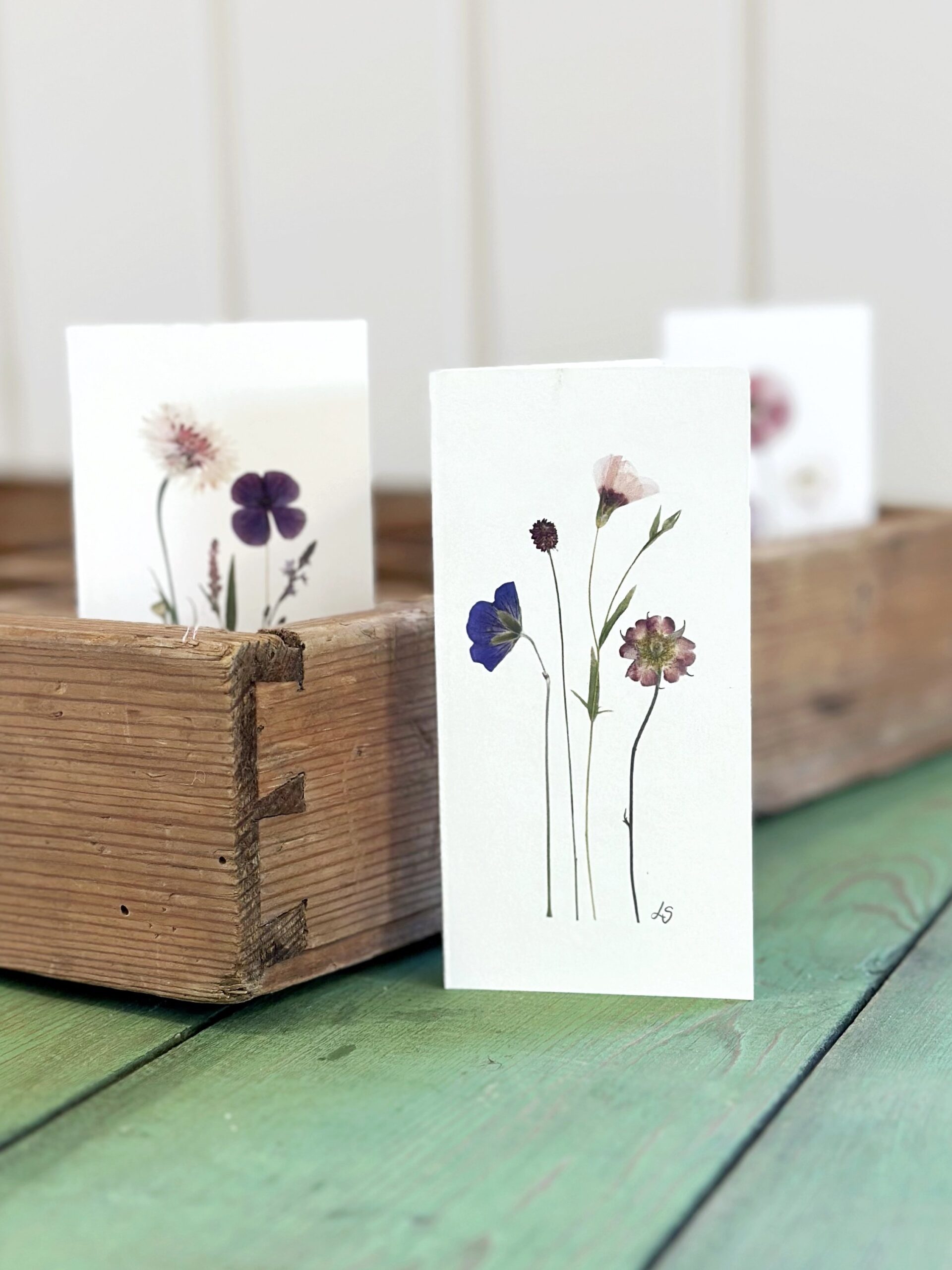 Dobbeltkort 6x12 cm - 12 stk - Nr 1