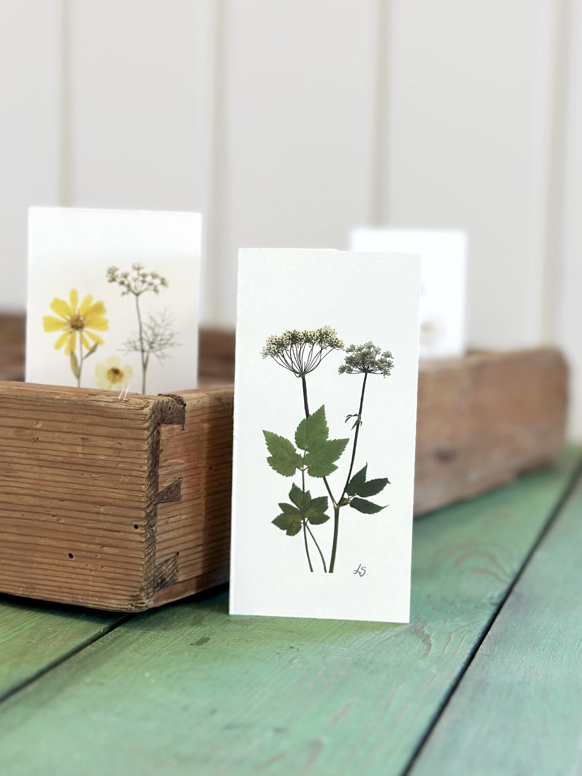 Dobbeltkort 6x12 cm - 8 stk - Grønt mix