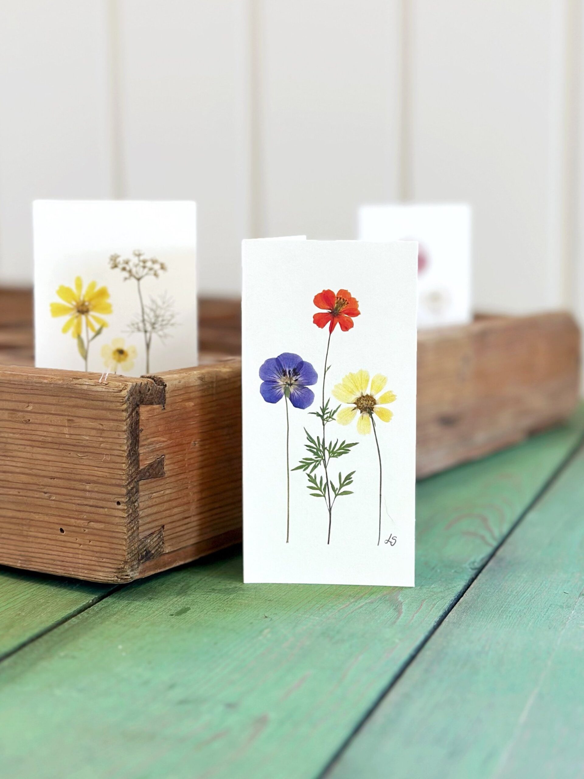 Dobbeltkort 6x12 cm - 12 stk - Nr 1