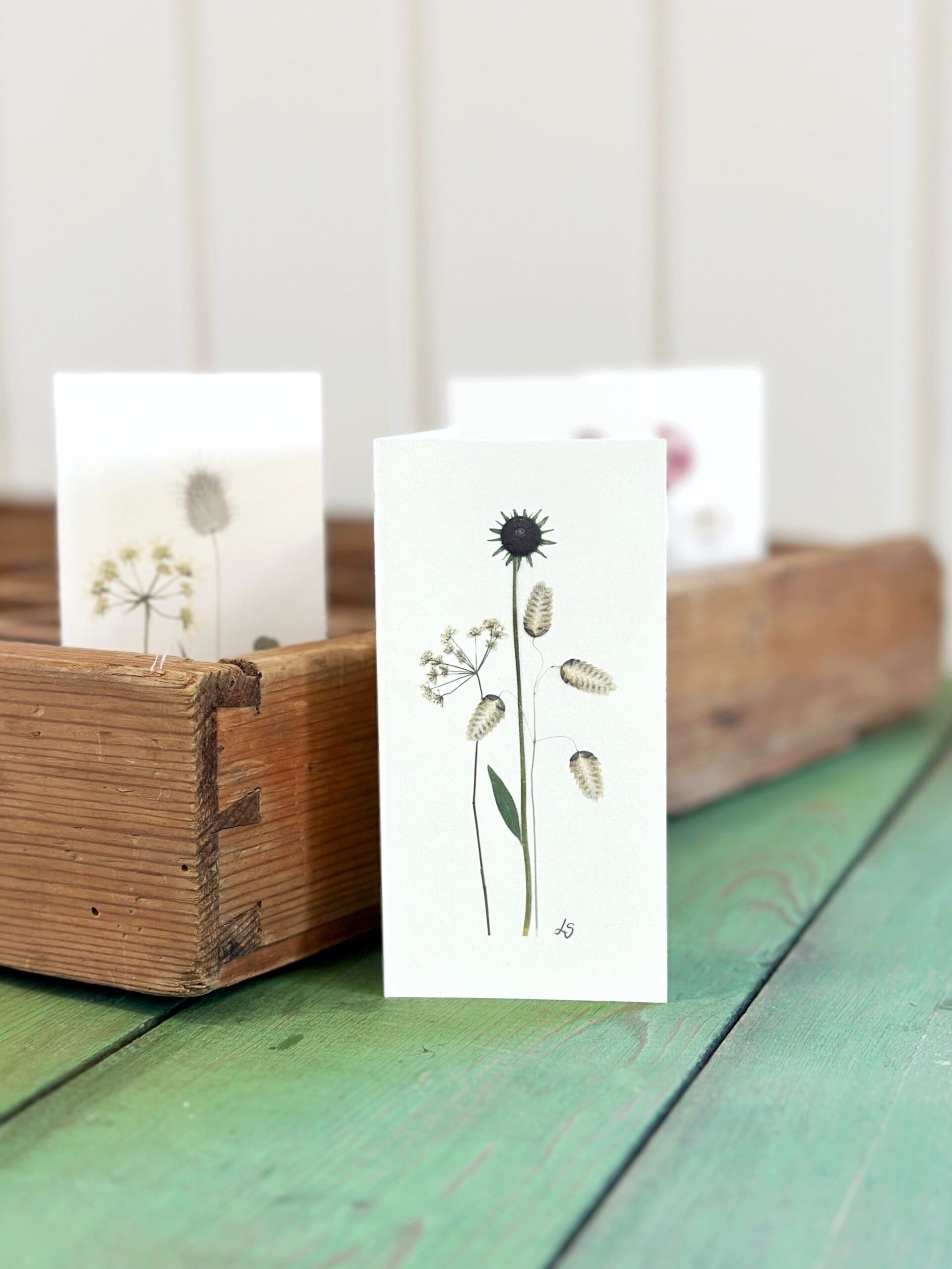 Dobbeltkort 6x12 cm - 12 stk - Nr 1