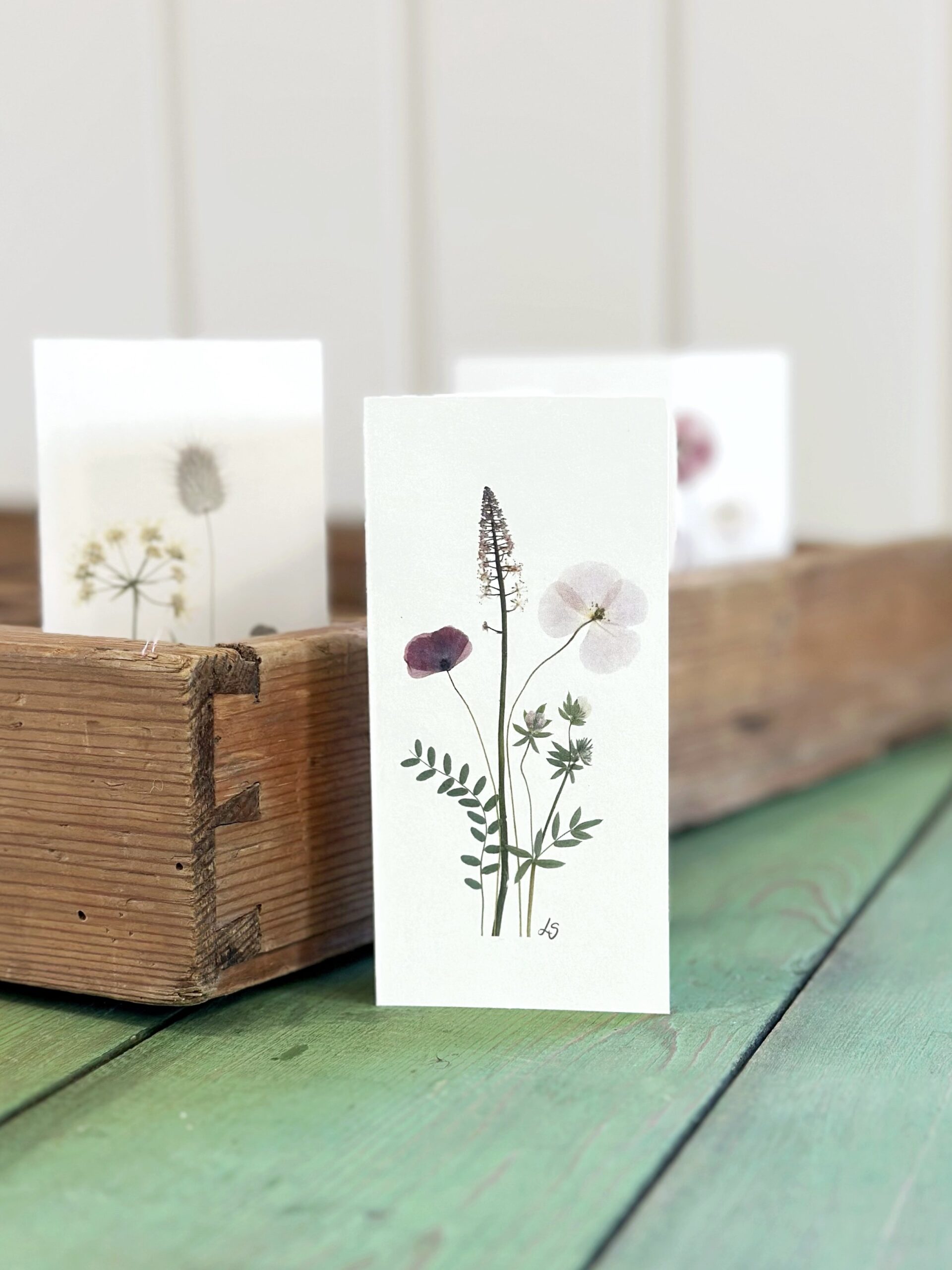 Dobbeltkort 6x12 cm - 12 stk - Nr 1