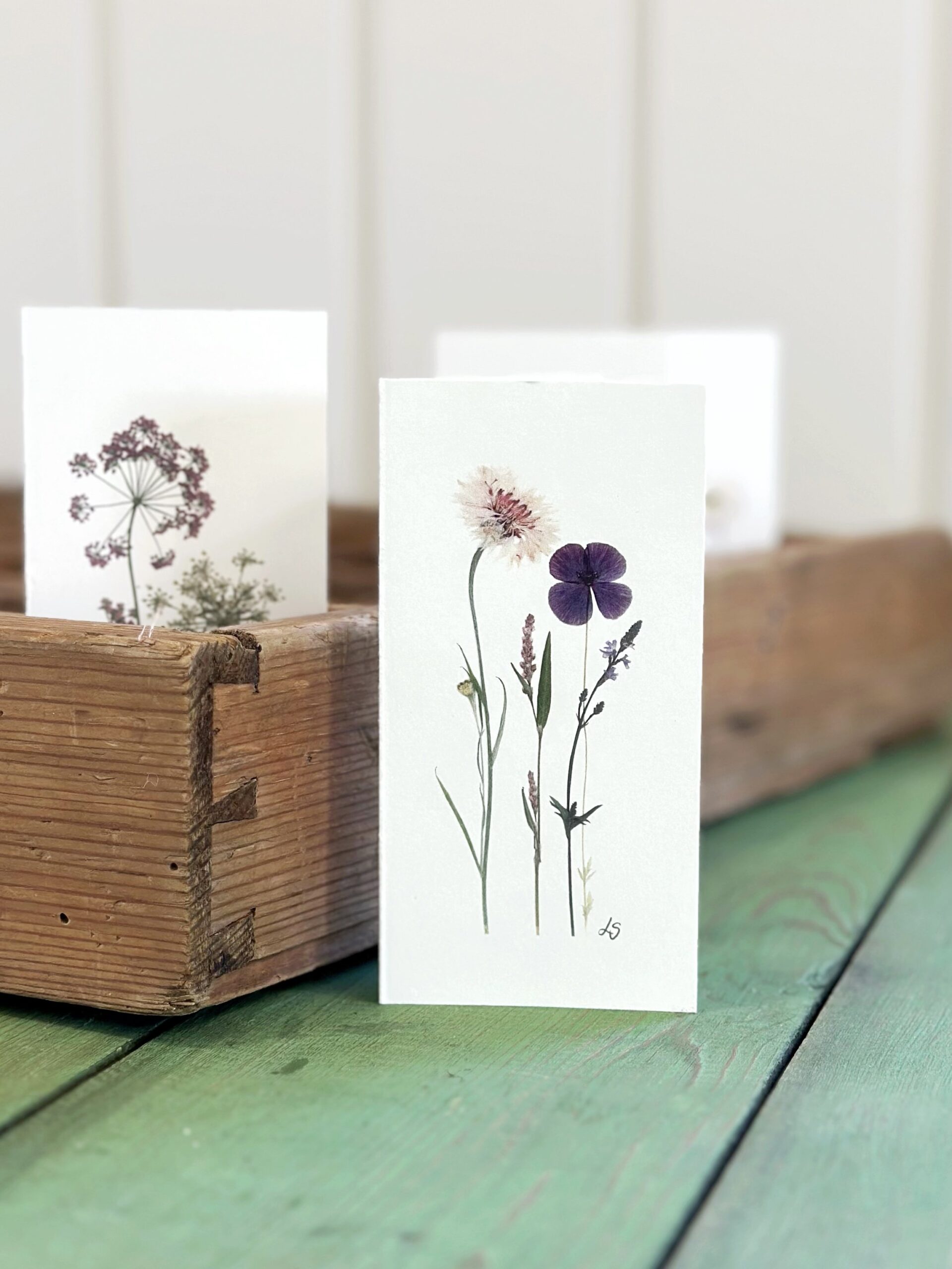 Dobbeltkort 6x12 cm - 12 stk - Nr 1