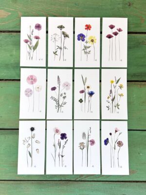 Dobbeltkort 6x12 cm - 12 stk - Nr 1