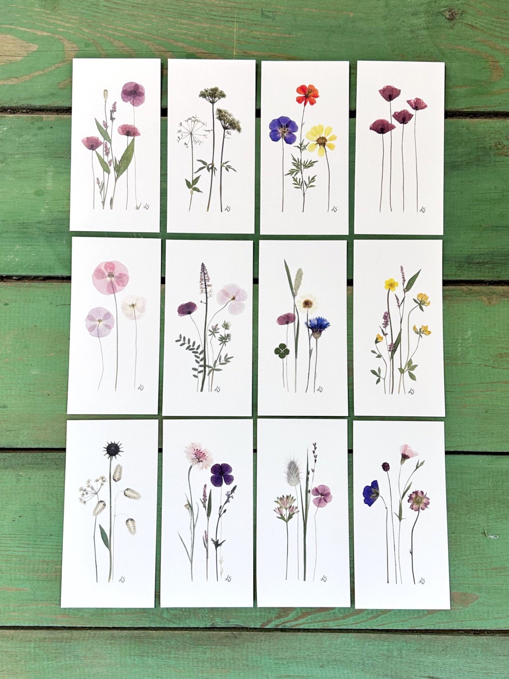 Dobbeltkort 6x12 cm - 12 stk - Nr 1