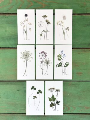 Dobbeltkort 6x12 cm - 8 stk - Grønt mix