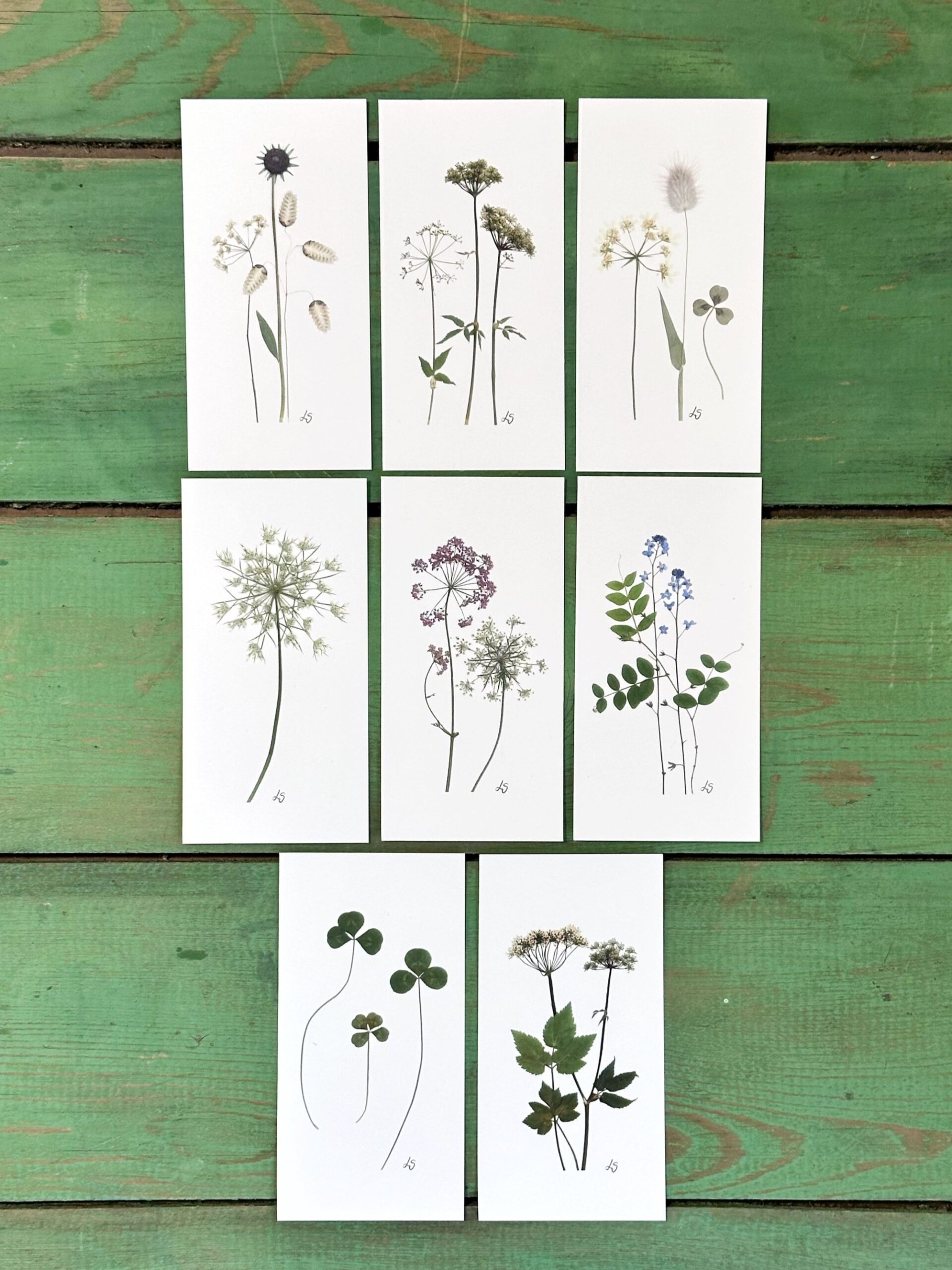 Dobbeltkort 6x12 cm - 8 stk - Grønt mix