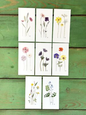 Dobbelt kort - 6x12 cm - 8 stk. Multi Mix