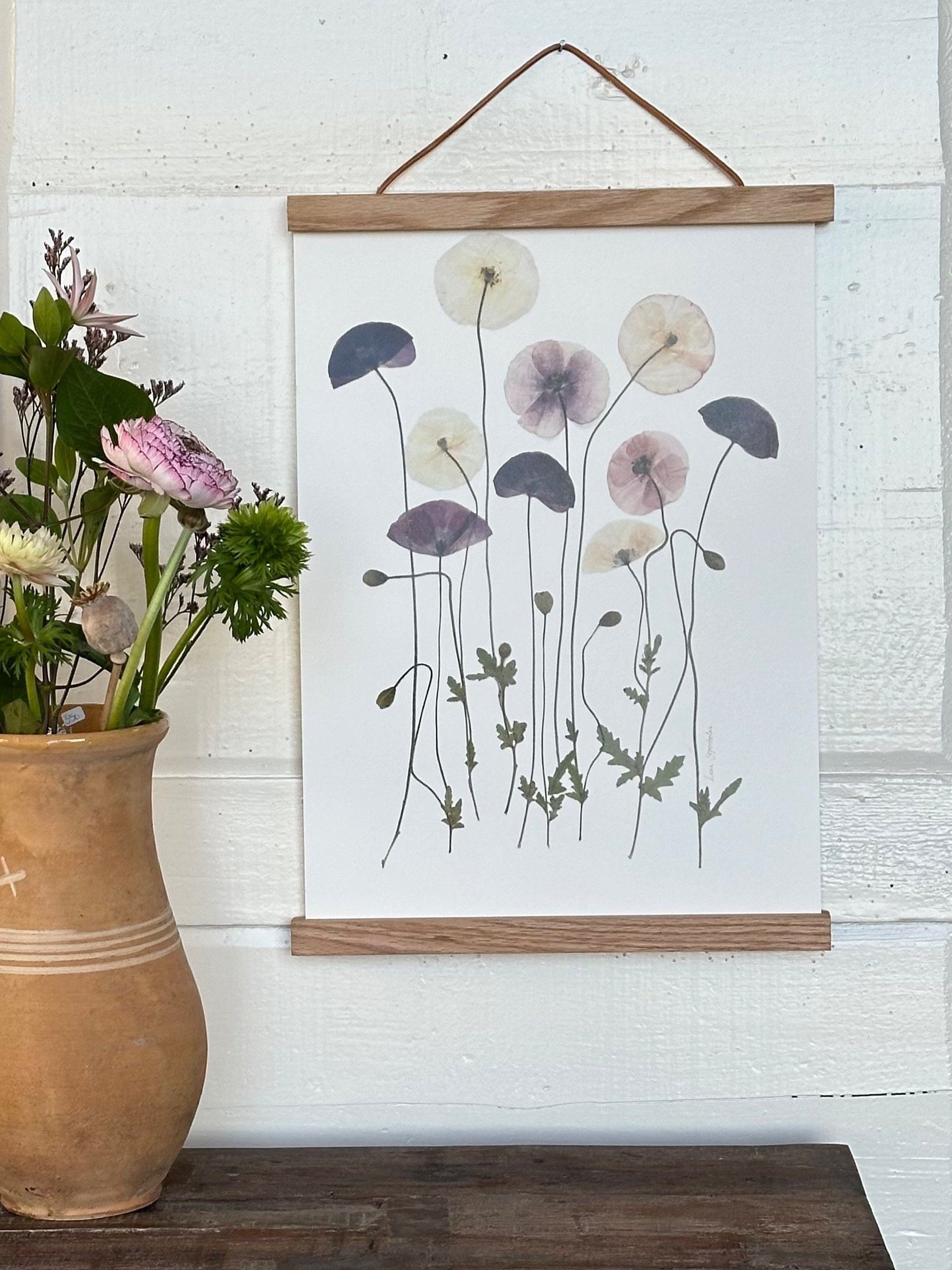 Valmuer fra Brede Havekiosk