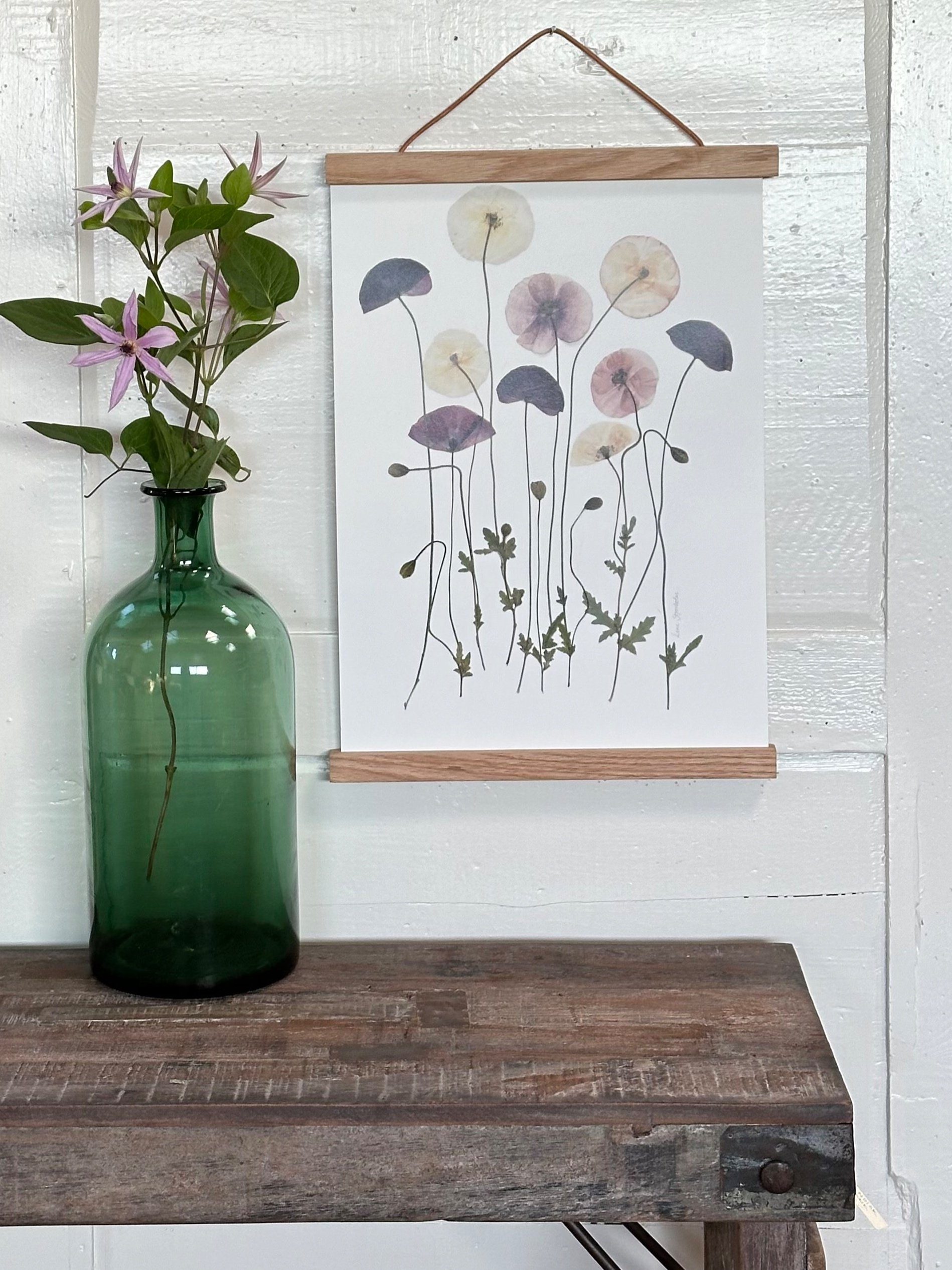 Valmuer fra Brede Havekiosk