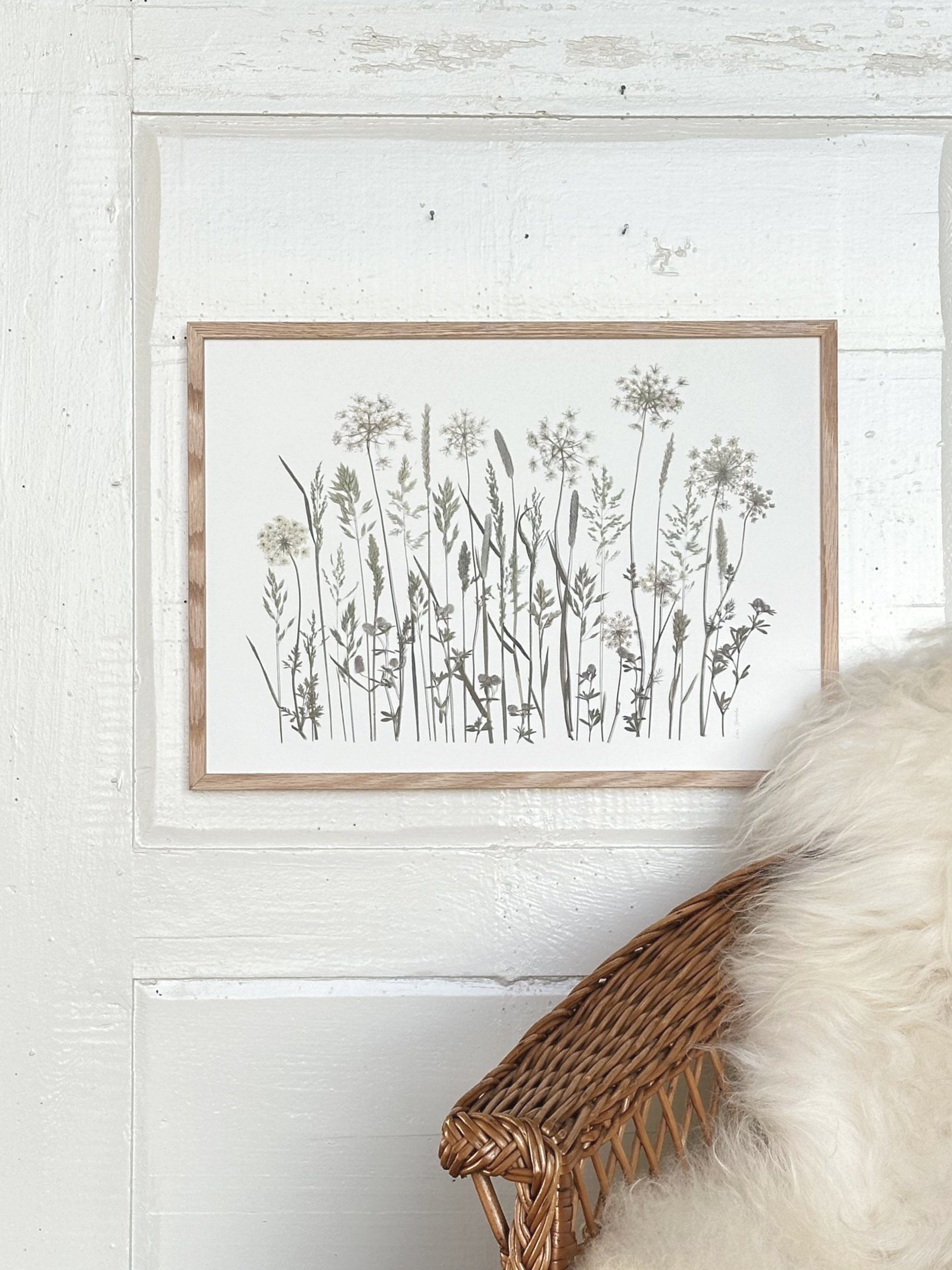 grøftekant blomster sommer