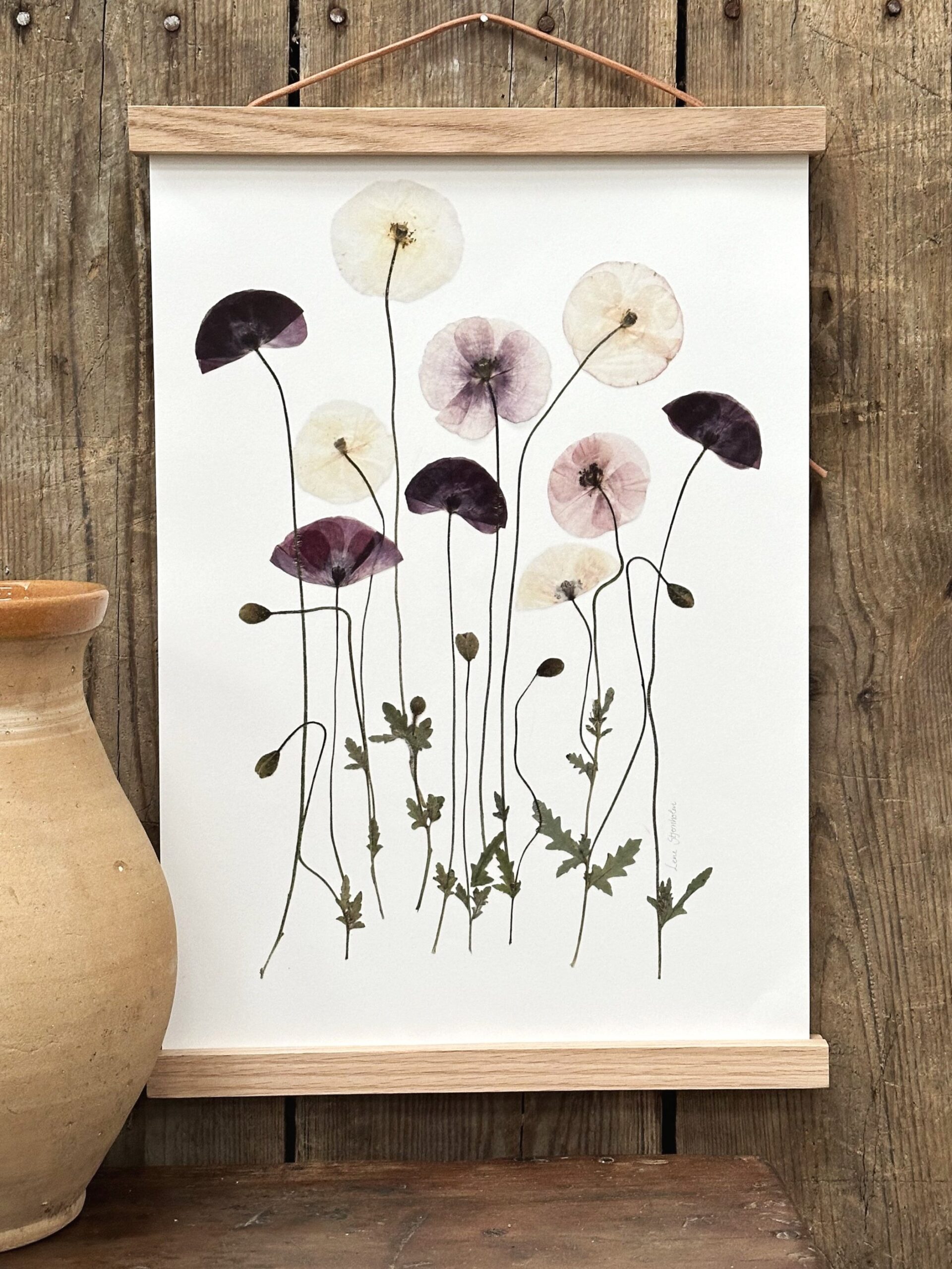 Valmuer fra Brede Havekiosk