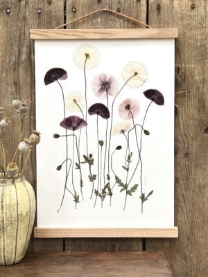 Valmuer fra Brede Havekiosk