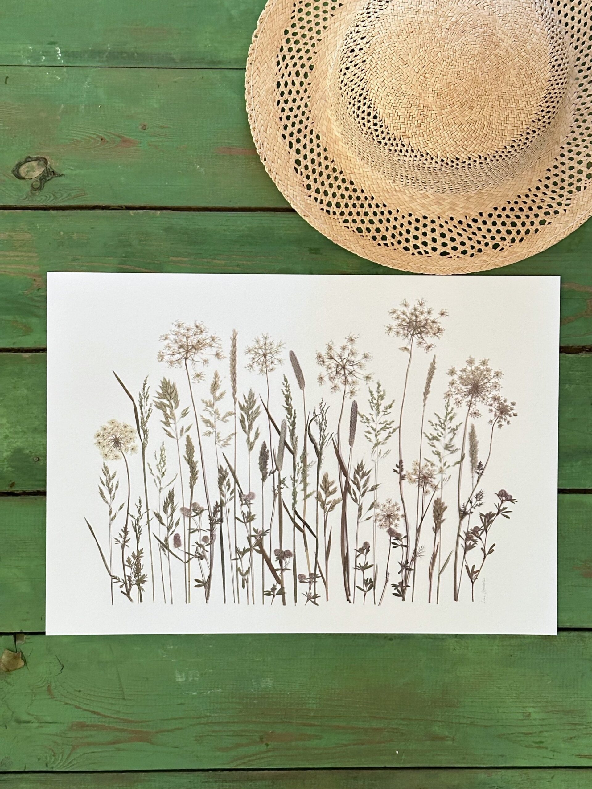 grøftekant blomster sommer