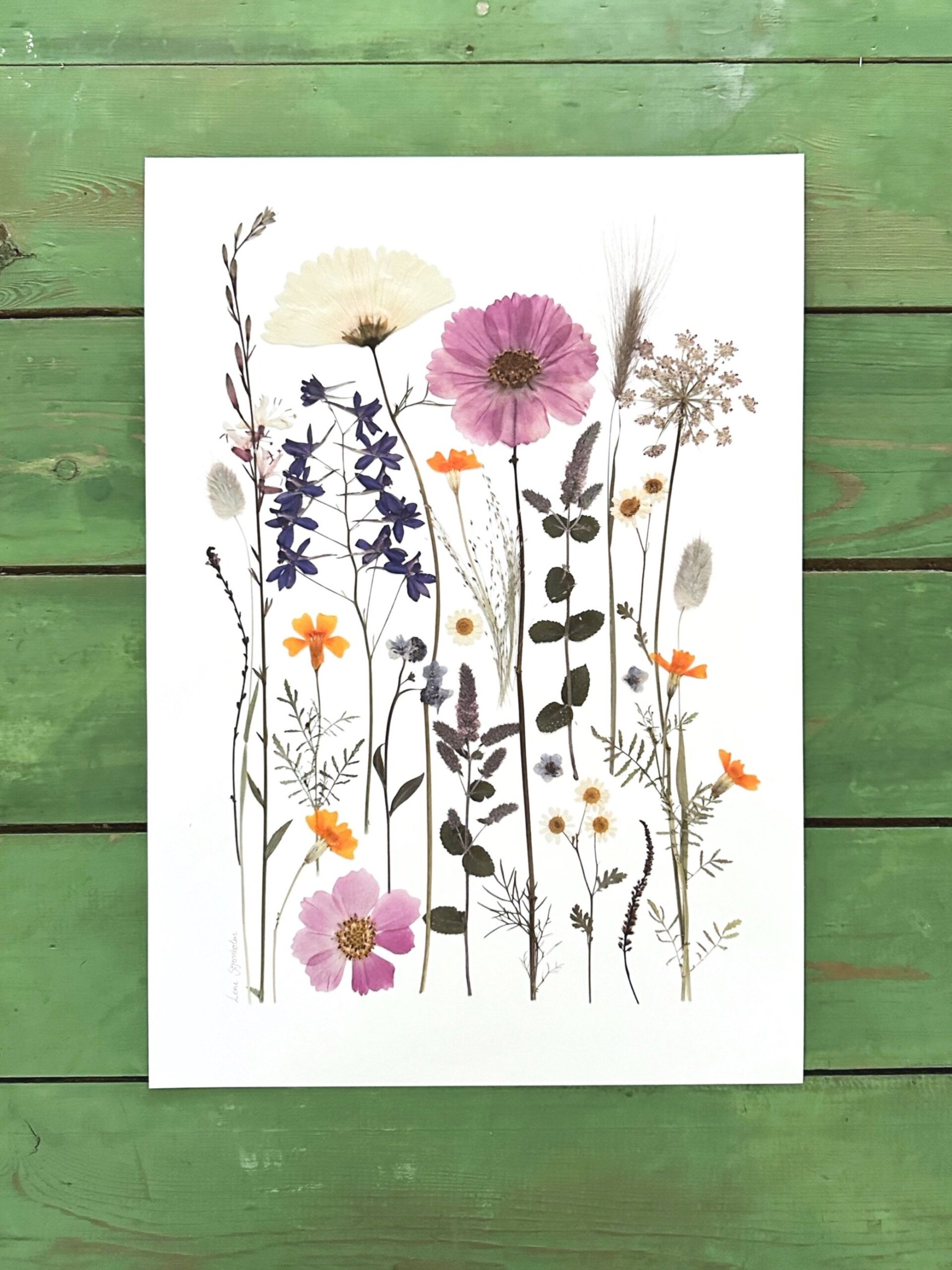 Brede Havekiosk Værket