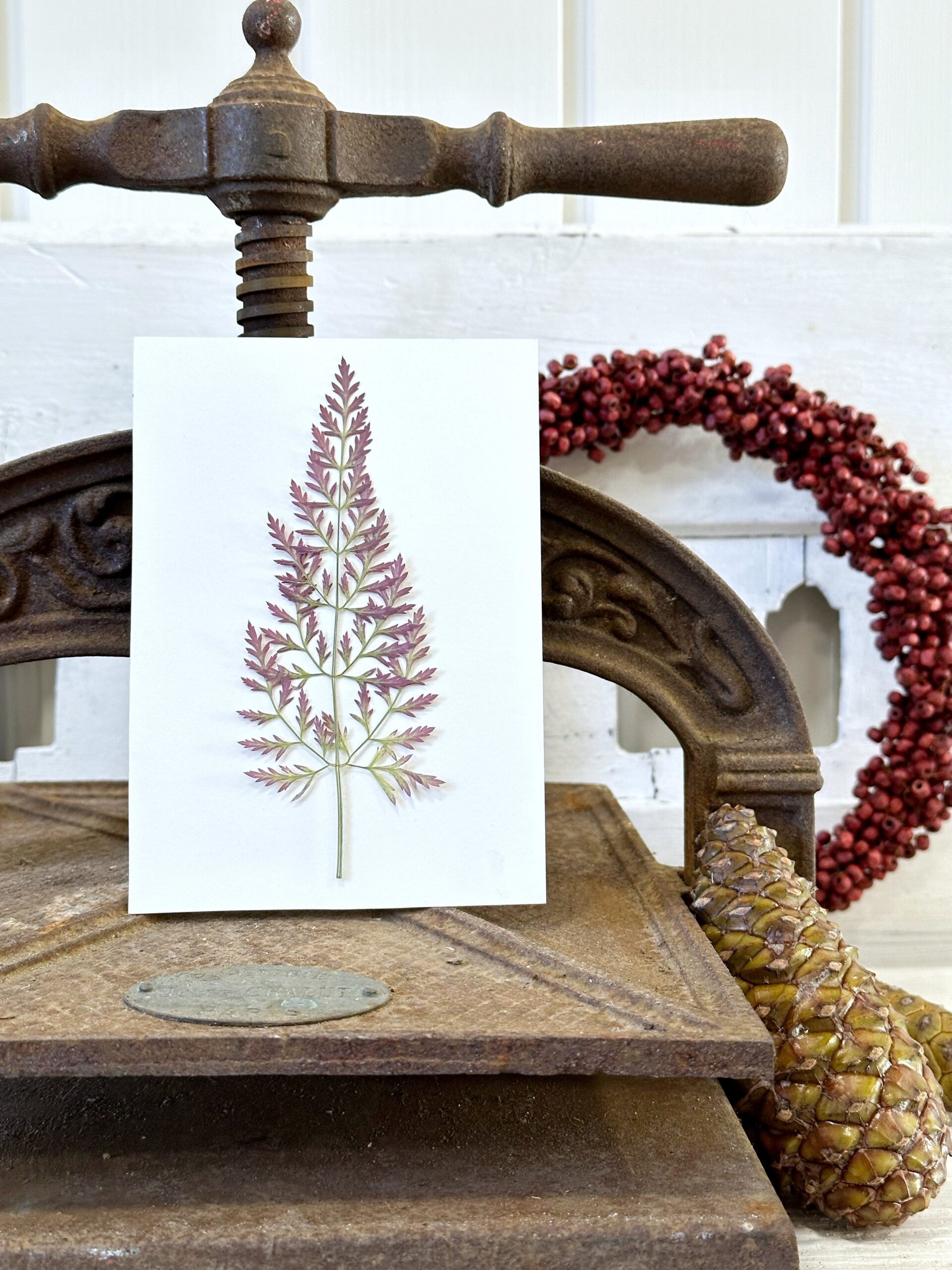 A6 Vinterkort - pakke med 5 stk. - Det enkle mix