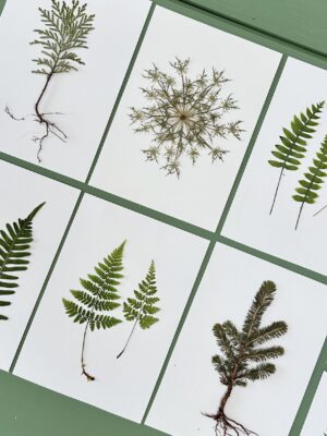 A6 Vinterkort - pakke med 5 stk. - Det enkle mix