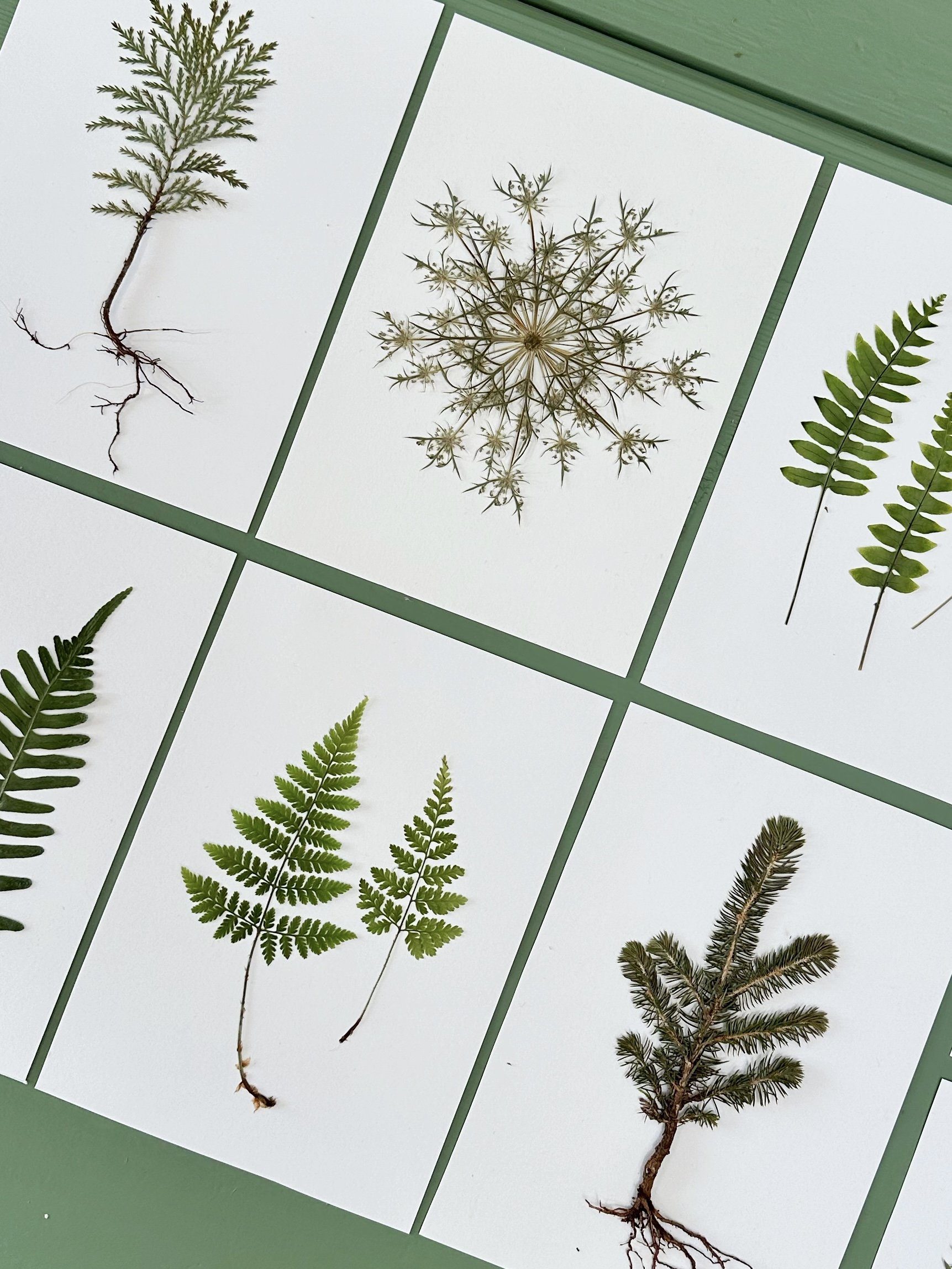 A6 Vinterkort - pakke med 5 stk. - Det enkle mix