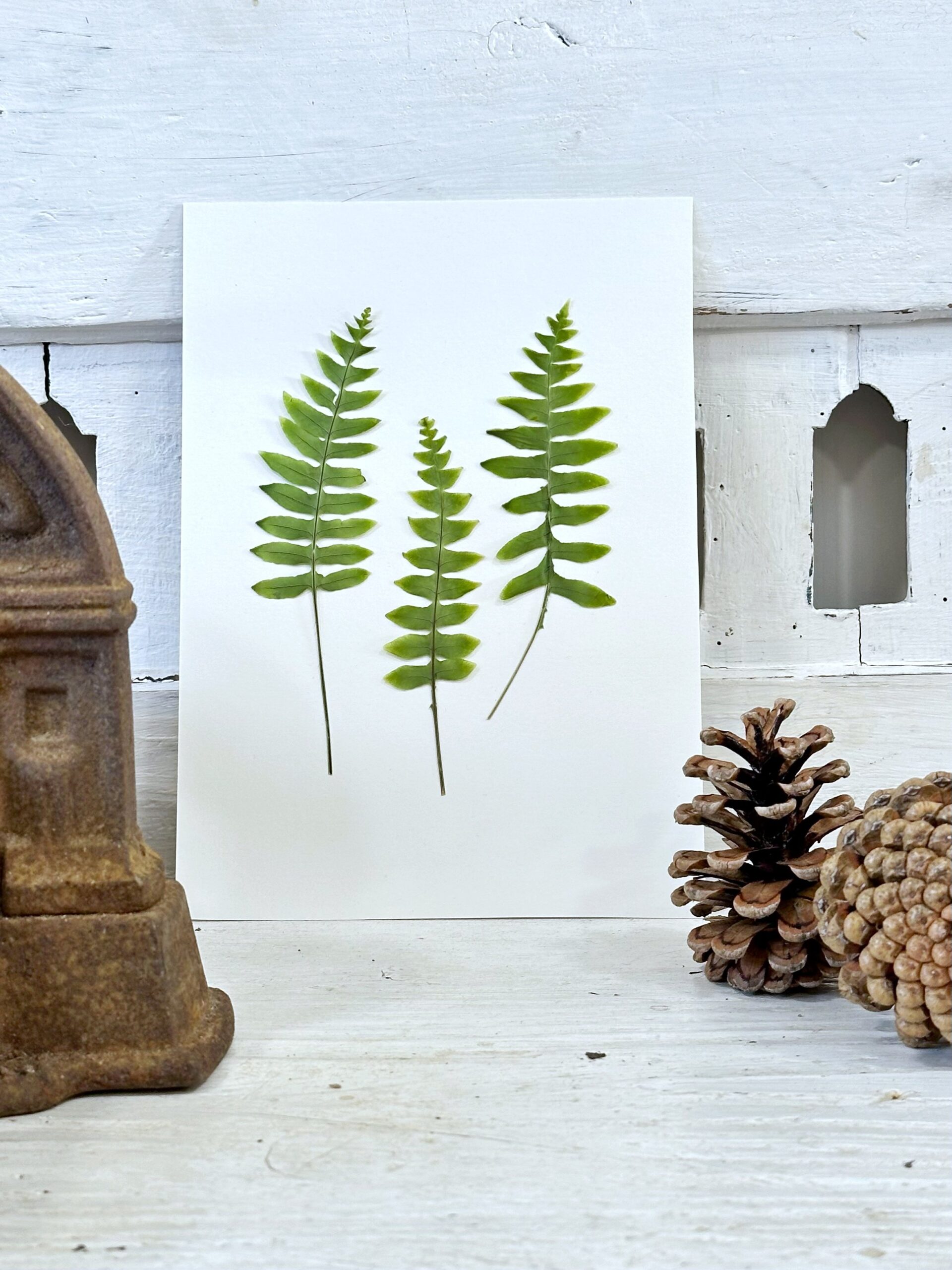 A6 Vinterkort - pakke med 5 stk. - Det enkle mix