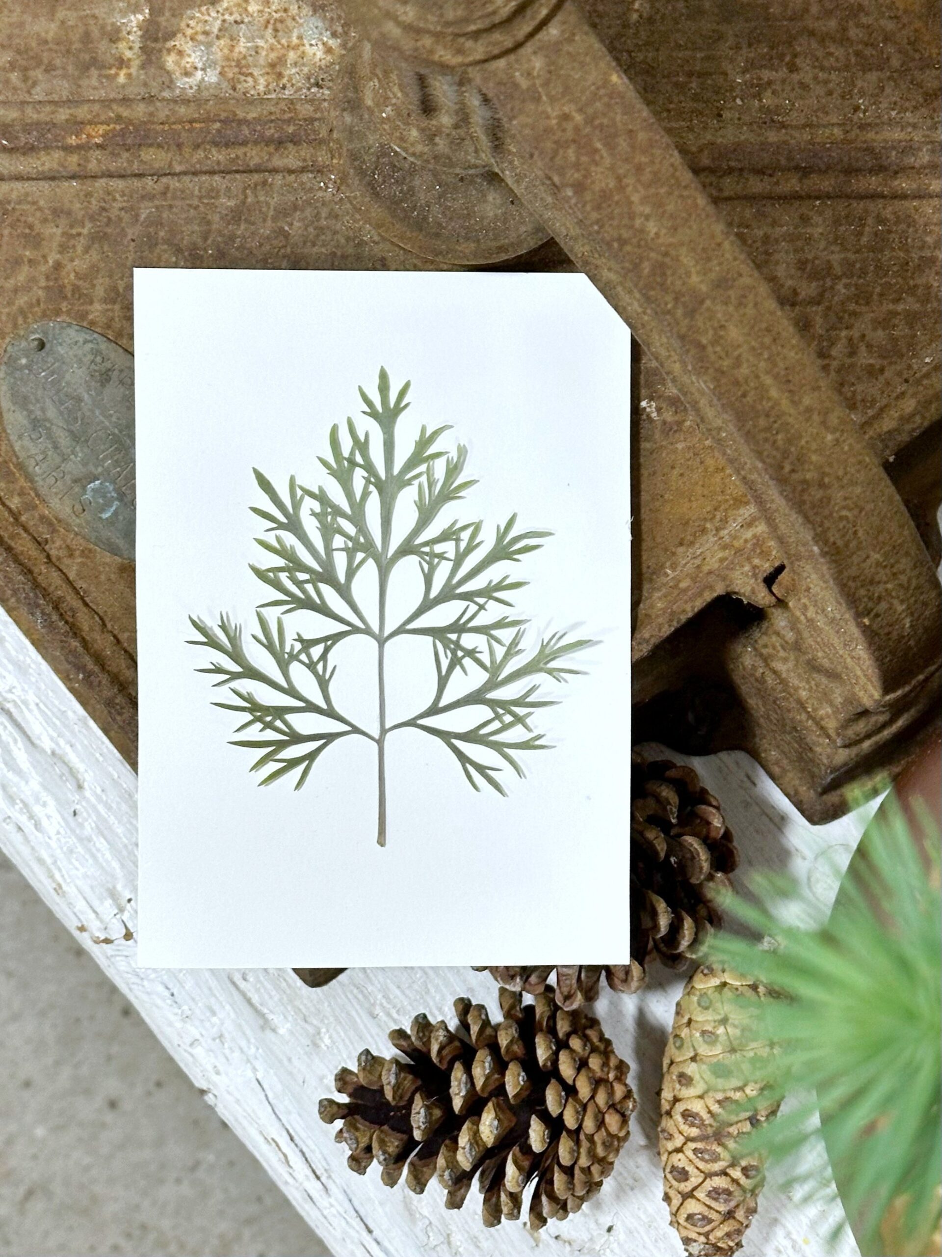 A6 Vinterkort - pakke med 5 stk. - Det enkle mix