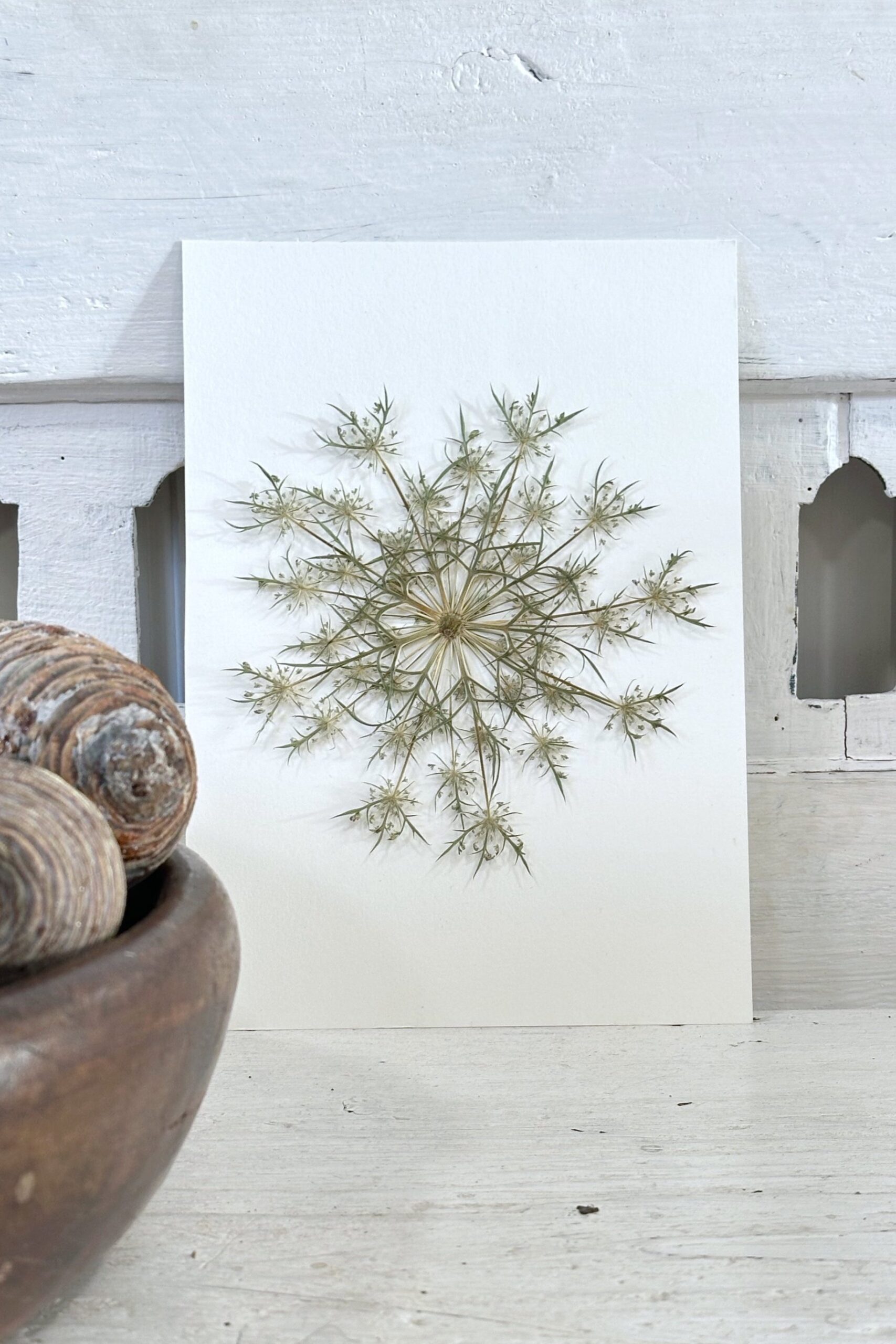 A6 Vinterkort - pakke med 5 stk - Mix med rødder og smukke detaljer