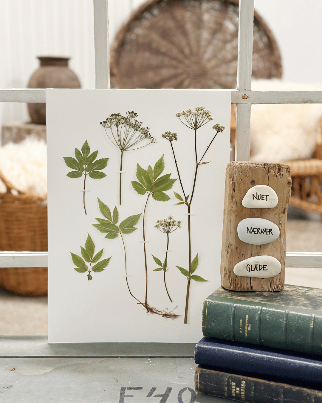 Original - Skvalderkål str. A3 - Billede 2