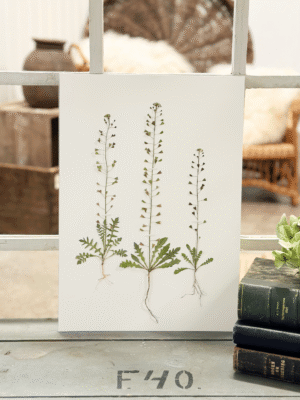 Original - Hyrdetaske str. A3