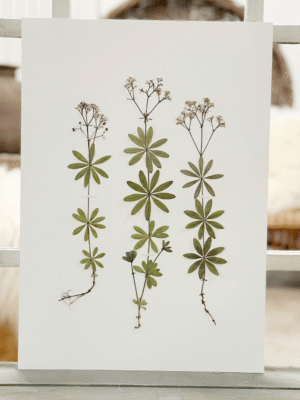 Original - Skovmærke str. A3