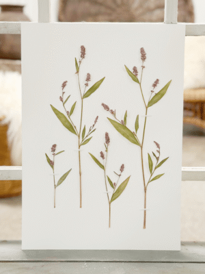 Original - Pileurt str. A3