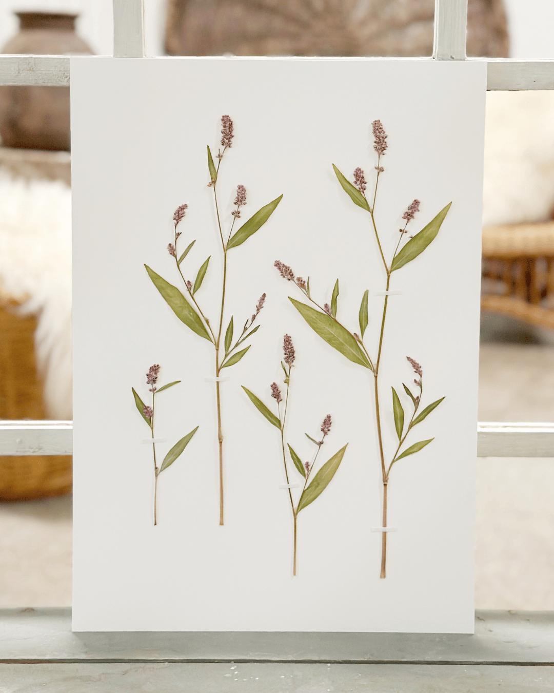 Original - Pileurt str. A3