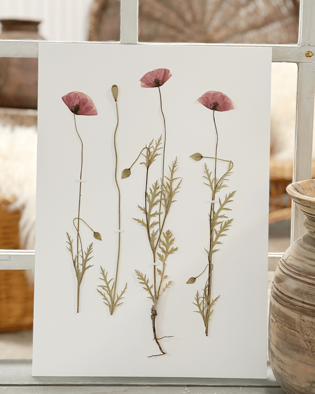 Original - Kornvalmue str. A3