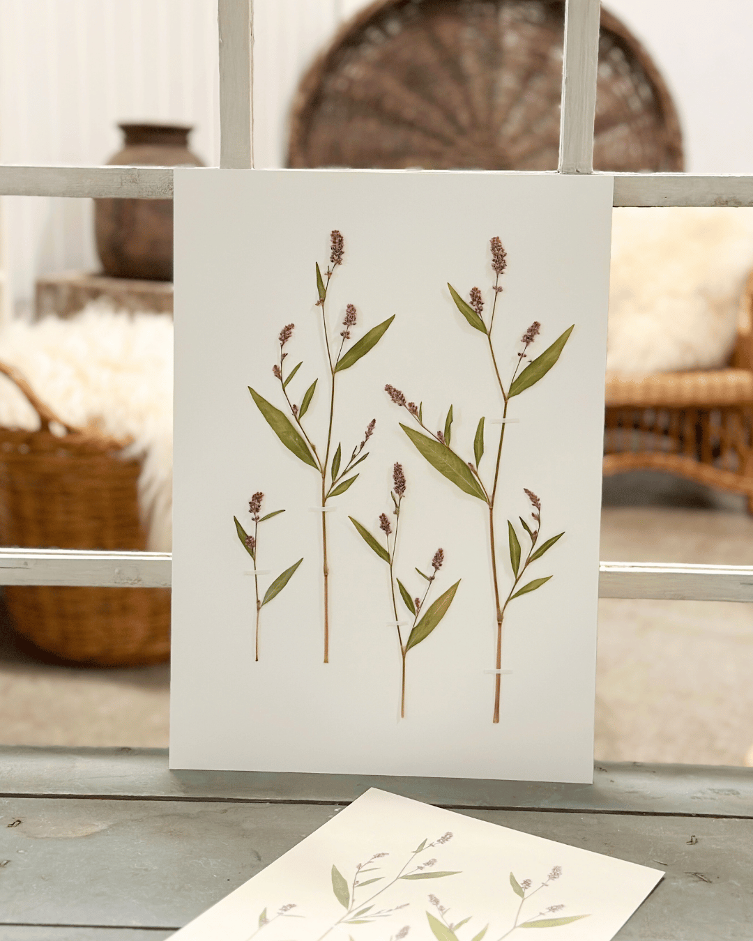 Original - Pileurt str. A3 - Billede 2