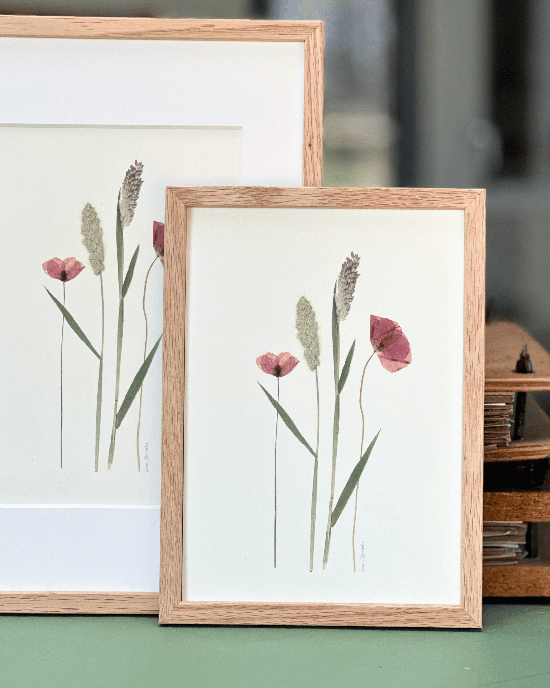 Valmuer og græsser - Billede 4