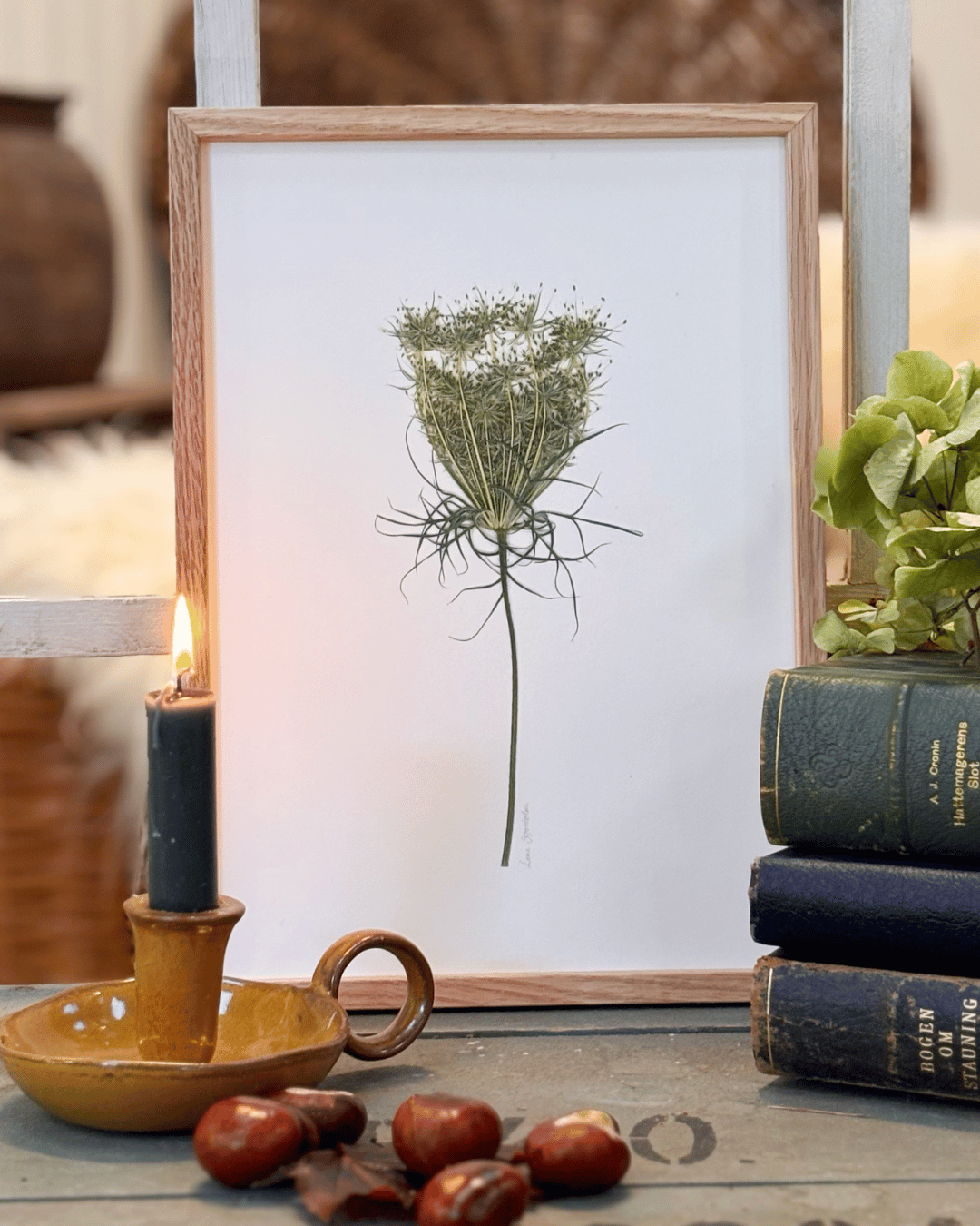 Vild Gulerod - nr. 3