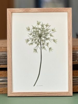 A4 Ramme, Egetræsramme