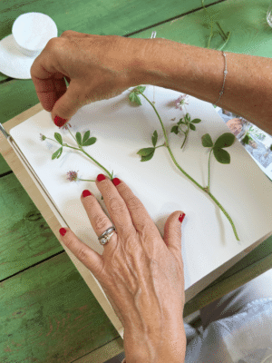 WORKSHOP: Pressede blomster - Torsdag d. 23. april kl. 17-20 - UDSOLGT